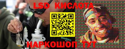 твердый Сланцы