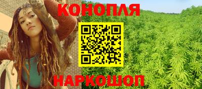 apvp Славгород