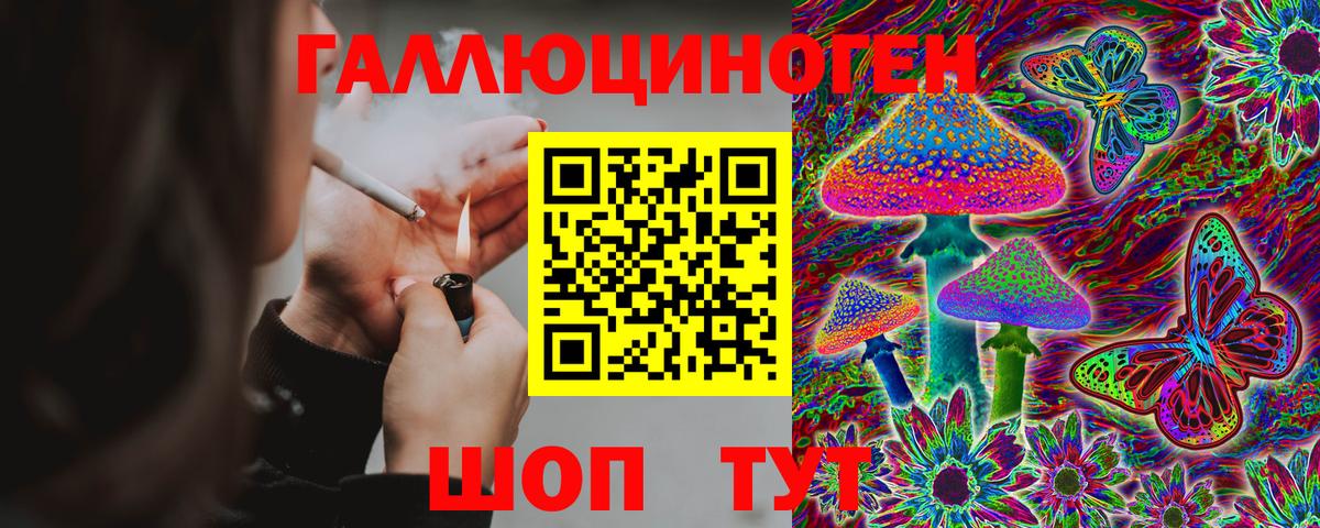 Троицк  Галлюциногенные грибы Cubensis  Вход с VPN 