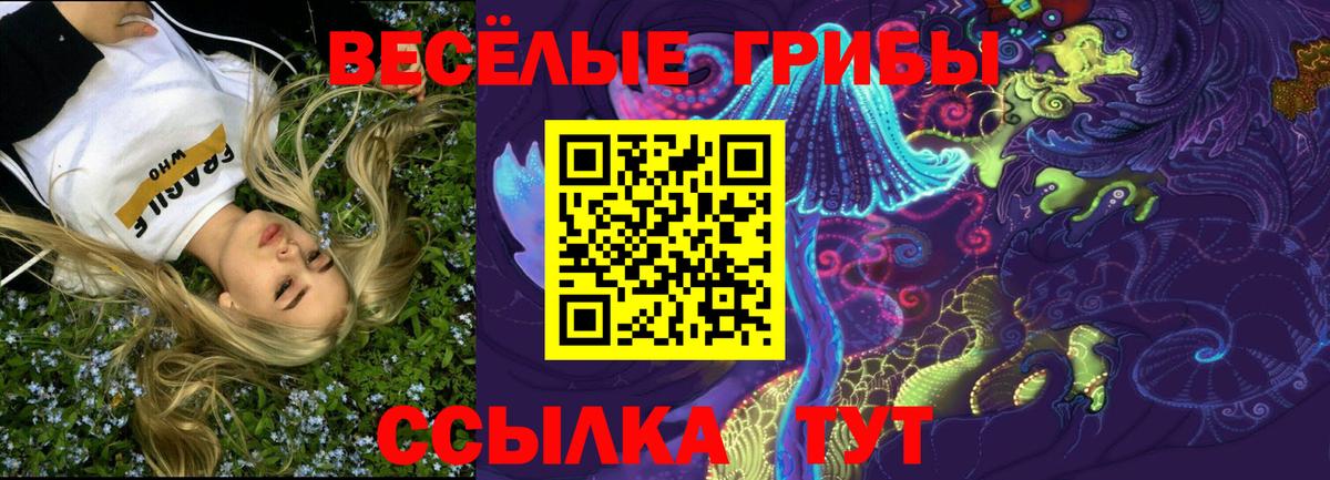 Псилоцибиновые грибы мухоморы Троицк